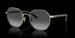 COACH HC7147 90058G