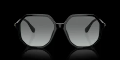 SWAROVSKI SK6003 100111