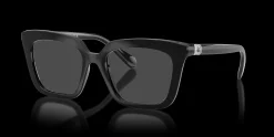SWAROVSKI SK2043 1038