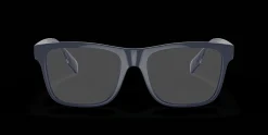 BURBERRY Carter BE2353 3961