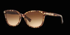 COACH HC8132 528713