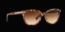 COACH HC8132 528713