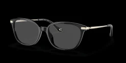 COACH HC6185 5002