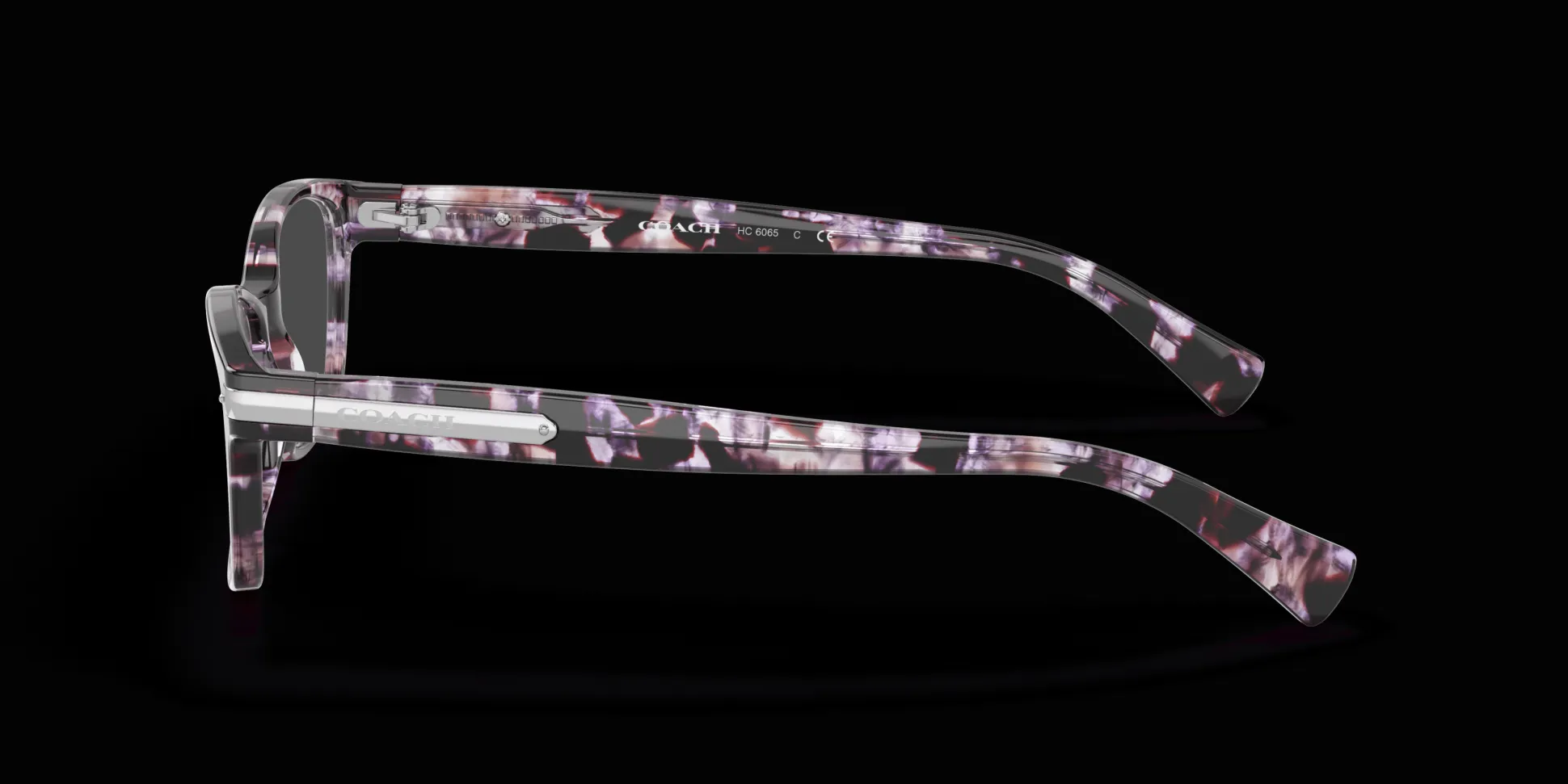 COACH HC6065 5548