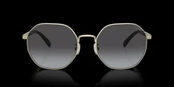 COACH HC7147 90058G