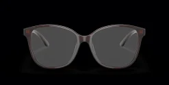 RALPH LAUREN RL6222 5855