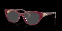 RALPH LAUREN RL6227U 5912