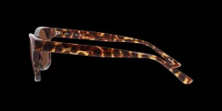 SEEN 0NE6078 2