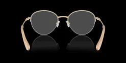 SWAROVSKI SK1004 4013
