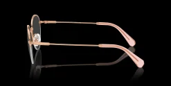 SWAROVSKI SK1004 4014