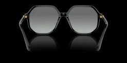 SWAROVSKI SK6003 100111