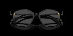 SWAROVSKI SK2002 1001