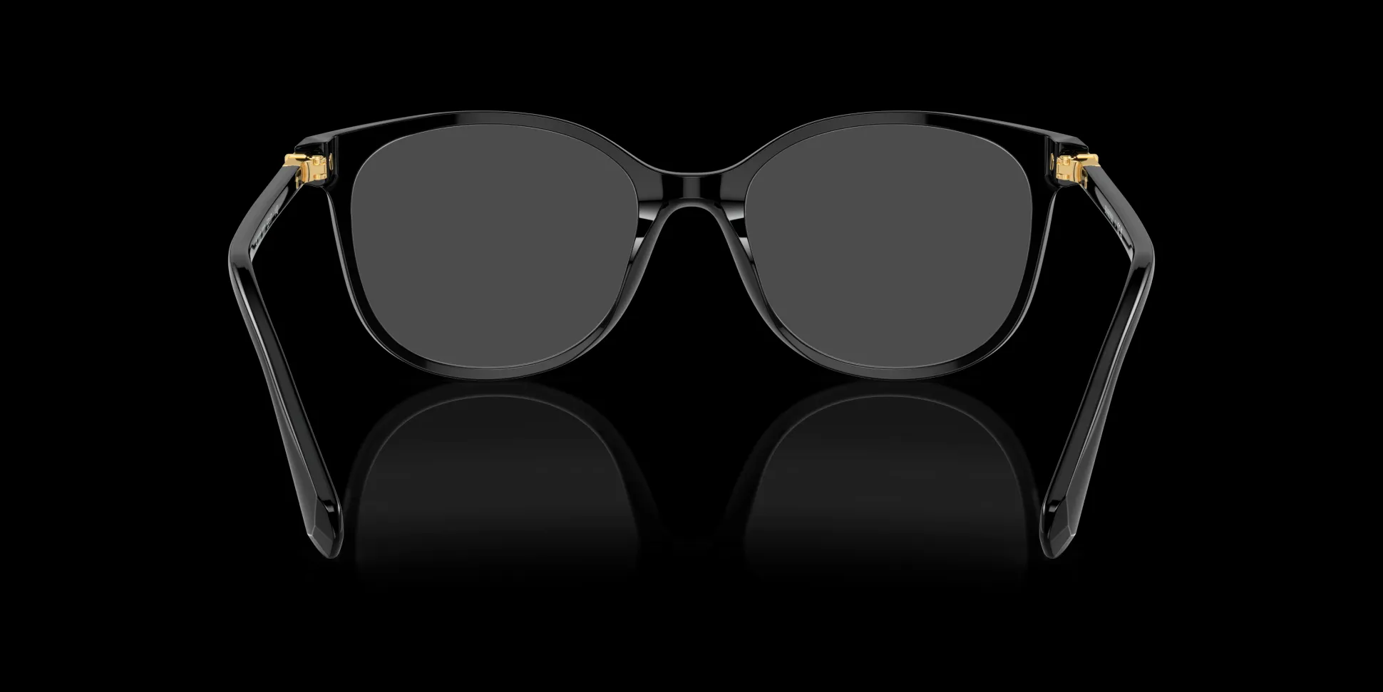 SWAROVSKI SK2002 1001